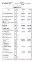 Báo cáo tài chính công ty mẹ quý 3 năm 2010 - Công ty Cổ phần Cung ứng và Dịch vụ Kỹ thuật Hàng Hải