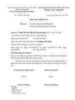 Báo cáo tài chính tóm tắt quý 4 năm 2009 - Công ty cổ phần Du lịch Dầu khí Phương Đông