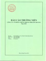 Báo cáo thường niên năm 2013 - Công ty Cổ phần Chứng khoán Phượng Hoàng