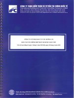 Báo cáo tài chính hợp nhất quý 2 năm 2015 (đã soát xét) - Công ty Cổ phần Đầu tư Cầu đường CII