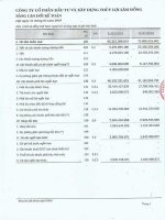 Báo cáo tài chính quý 1 năm 2010 - Công ty Cổ phần Đầu tư và Xây dựng Thủy lợi Lâm Đồng