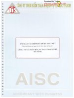 Báo cáo tài chính quý 2 năm 2013 (đã soát xét) - Công ty Cổ phần Đầu tư Phát triển Nhà Đà Nẵng