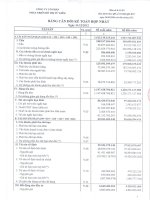Báo cáo tài chính hợp nhất quý 4 năm 2012 - Công ty Cổ phần Phát triển Đô thị Từ Liêm