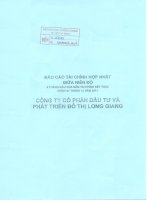 Báo cáo tài chính hợp nhất quý 2 năm 2011 - Công ty cổ phần Đầu tư và Phát triển Đô thị Long Giang