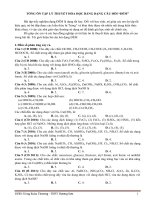 TONG ON LY THUYET HOA BANG DANG CAU HOI DEM