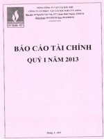 Báo cáo tài chính quý 1 năm 2013 - Công ty cổ phần Dịch vụ Vận tải Dầu khí Cửu Long