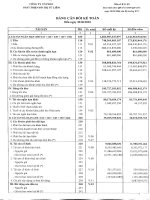 Báo cáo tài chính quý 2 năm 2010 - Công ty Cổ phần Phát triển Đô thị Từ Liêm