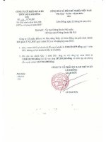 Báo cáo tài chính quý 1 năm 2011 - Công ty Cổ phần Đầu tư và Xây dựng Thủy lợi Lâm Đồng