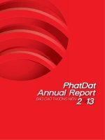Báo cáo thường niên năm 2013 - Công ty cổ phần Phát triển Bất động sản Phát Đạt