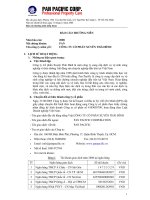 Báo cáo thường niên năm 2008 - Công ty Cổ phần Tập đoàn PAN