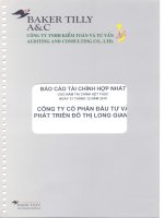 Báo cáo tài chính hợp nhất năm 2010 (đã kiểm toán) - Công ty cổ phần Đầu tư và Phát triển Đô thị Long Giang