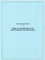Báo cáo tài chính công ty mẹ quý 1 năm 2016 - Công ty cổ phần Đầu tư và Phát triển Đô thị Long Giang