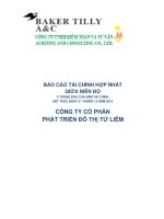 Báo cáo tài chính hợp nhất quý 2 năm 2012 (đã soát xét) - Công ty Cổ phần Phát triển Đô thị Từ Liêm