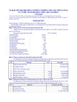 Nghị quyết Đại hội cổ đông thường niên năm 2010 - Công ty Cổ phần Đầu tư và Xây dựng Thủy lợi Lâm Đồng