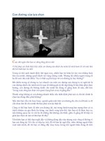 Con đường của lựa chọn