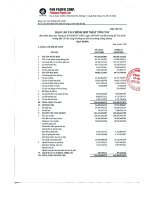 Báo cáo tài chính hợp nhất quý 4 năm 2009 - Công ty Cổ phần Tập đoàn PAN