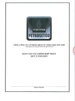 Báo cáo tài chính hợp nhất quý 3 năm 2015 - Tổng Công ty Cổ phần Dịch vụ Tổng hợp Dầu khí