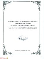Báo cáo thường niên năm 2013 - CTCP Xây lắp Cơ khí và Lương thực Thực phẩm