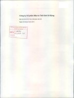 Báo cáo tài chính hợp nhất quý 2 năm 2015 - Công ty cổ phần Đầu tư Thế giới Di động