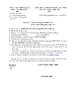 Báo cáo tài chính hợp nhất quý 1 năm 2016 - Công ty Cổ phần Đầu tư và Xây dựng Thủy lợi Lâm Đồng