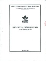 Báo cáo tài chính hợp nhất quý 1 năm 2011 - Công ty cổ phần Giống cây trồng Trung ương