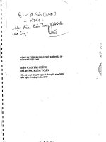 Báo cáo tài chính quý 2 năm 2009 (đã soát xét) - Công ty Cổ phần Phân phối Khí thấp áp Dầu khí Việt Nam