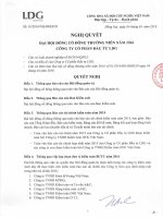 Nghị quyết Đại hội cổ đông thường niên - Công ty Cổ phần Đầu tư LDG