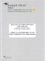 Báo cáo tài chính hợp nhất quý 2 năm 2012 (đã soát xét) - Công ty cổ phần Đầu tư và Phát triển Đô thị Long Giang