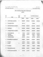 Báo cáo KQKD quý 2 năm 2010 - Công ty cổ phần Đầu tư và Phát triển Đô thị Long Giang