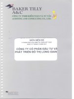 Báo cáo tài chính hợp nhất quý 2 năm 2011 (đã soát xét) - Công ty cổ phần Đầu tư và Phát triển Đô thị Long Giang