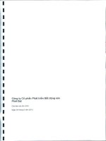 Báo cáo tài chính quý 2 năm 2013 - Công ty cổ phần Phát triển Bất động sản Phát Đạt