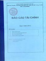 Báo cáo tài chính quý 1 năm 2015 - Công ty Cổ phần Chứng khoán Quốc gia