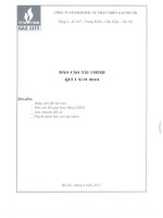 Báo cáo tài chính quý 1 năm 2015 - Công ty Cổ phần Đầu tư và Phát triển Gas Đô Thị