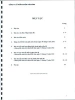 Báo cáo tài chính công ty mẹ quý 2 năm 2012 (đã soát xét) - Công ty Cổ phần Tập đoàn PAN