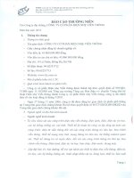 Báo cáo thường niên năm 2013 - Công ty cổ phần Điện nhẹ Viễn thông