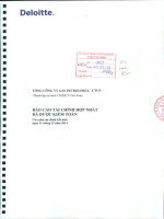 Báo cáo tài chính hợp nhất năm 2014 (đã kiểm toán) - Tổng Công ty Gas Petrolimex-CTCP