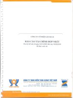Báo cáo tài chính hợp nhất quý 2 năm 2009 (đã soát xét) - Công ty cổ phần LICOGI 16
