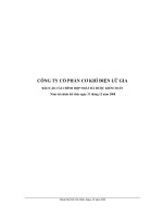 Báo cáo tài chính hợp nhất năm 2008 (đã kiểm toán) - Công ty Cổ phần Đầu tư Cầu đường CII