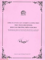 Báo cáo thường niên năm 2014 - CTCP Xây lắp Cơ khí và Lương thực Thực phẩm