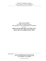 Báo cáo tài chính quý 2 năm 2010 (đã soát xét) - Công ty Cổ phần Lilama 5