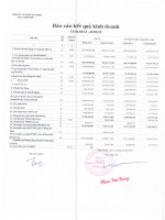 Báo cáo KQKD quý 1 năm 2013 - Công ty Cổ phần Thép Nam Kim