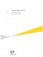 Báo cáo tài chính hợp nhất năm 2015 (đã kiểm toán) - Công ty Cổ phần Licogi 166