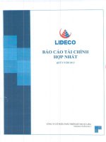 Báo cáo tài chính hợp nhất quý 1 năm 2013 - Công ty Cổ phần Phát triển Đô thị Từ Liêm