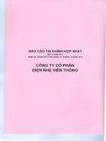 Báo cáo tài chính quý 4 năm 2013 - Công ty cổ phần Điện nhẹ Viễn thông