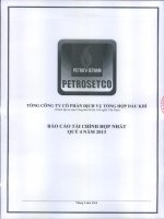 Báo cáo tài chính hợp nhất quý 4 năm 2013 - Tổng Công ty Cổ phần Dịch vụ Tổng hợp Dầu khí