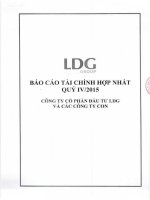 Báo cáo tài chính hợp nhất quý 4 năm 2015 - Công ty Cổ phần Đầu tư LDG