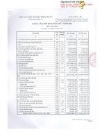 Báo cáo tài chính quý 1 năm 2013 - Công ty Cổ phần Đầu tư Phát triển Nhà Đà Nẵng