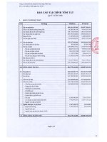 Báo cáo tài chính quý 1 năm 2009 - Công ty Cổ phần Kinh doanh Khí hóa lỏng Miền Nam