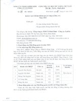Báo cáo tình hình quản trị công ty - Tổng công ty Pisico Bình Định - CTCP