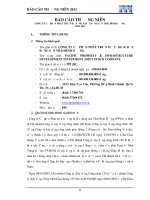 Báo cáo thường niên năm 2012 - Công ty Cổ phần Đầu tư và Phát triển Dự án Hạ tầng Thái Bình Dương